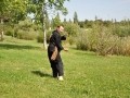 2014-06_penchak-silat-toulouse_004